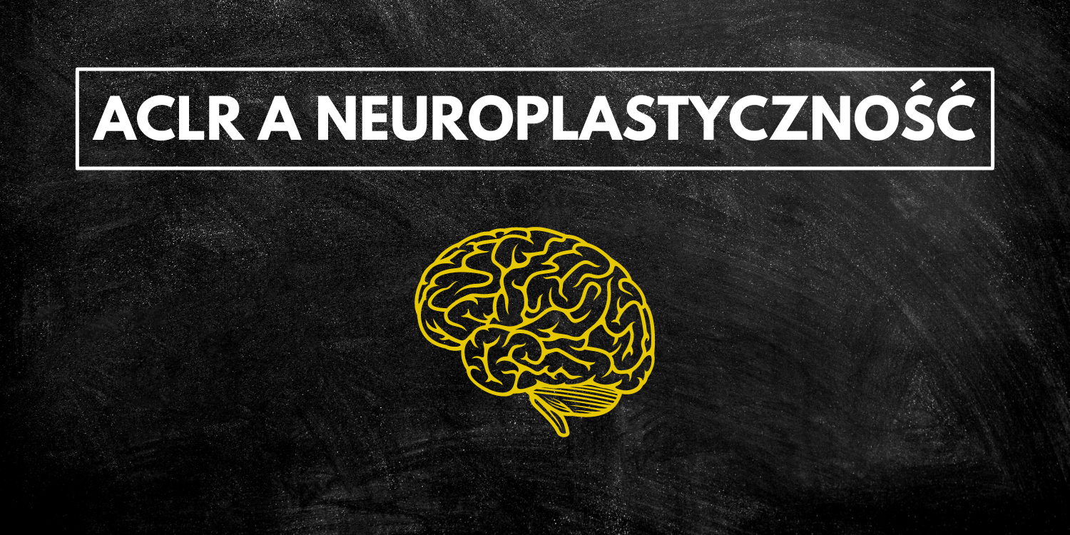 ACLR a Neuroplastyczność cz. 1